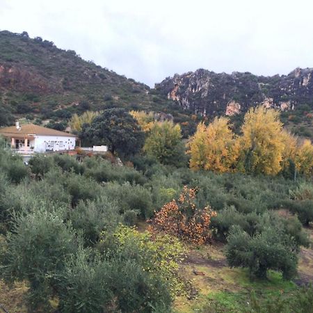 Villa La Quinta Priego De Cordoba Exterior photo