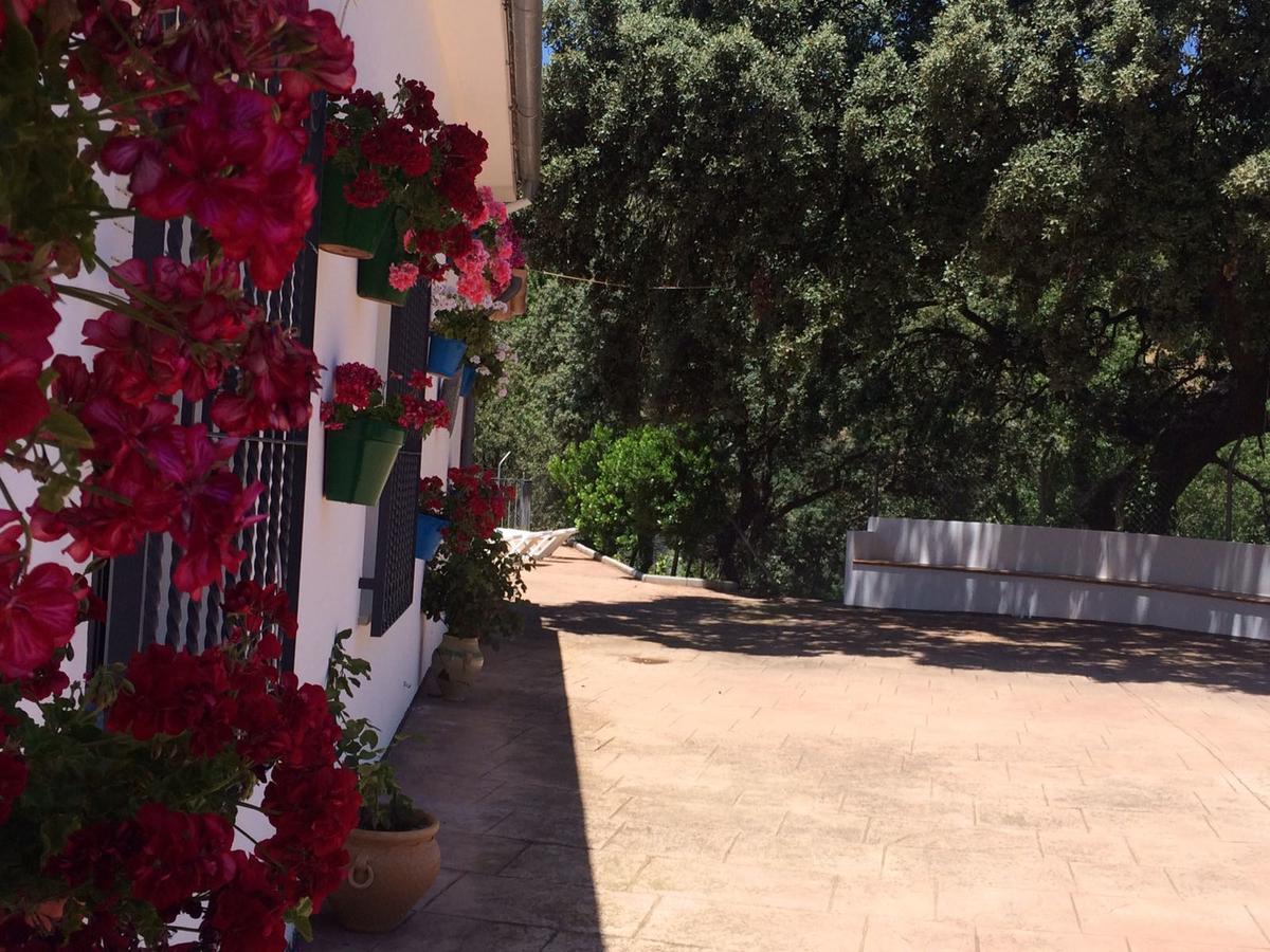 Villa La Quinta Priego De Cordoba Exterior photo