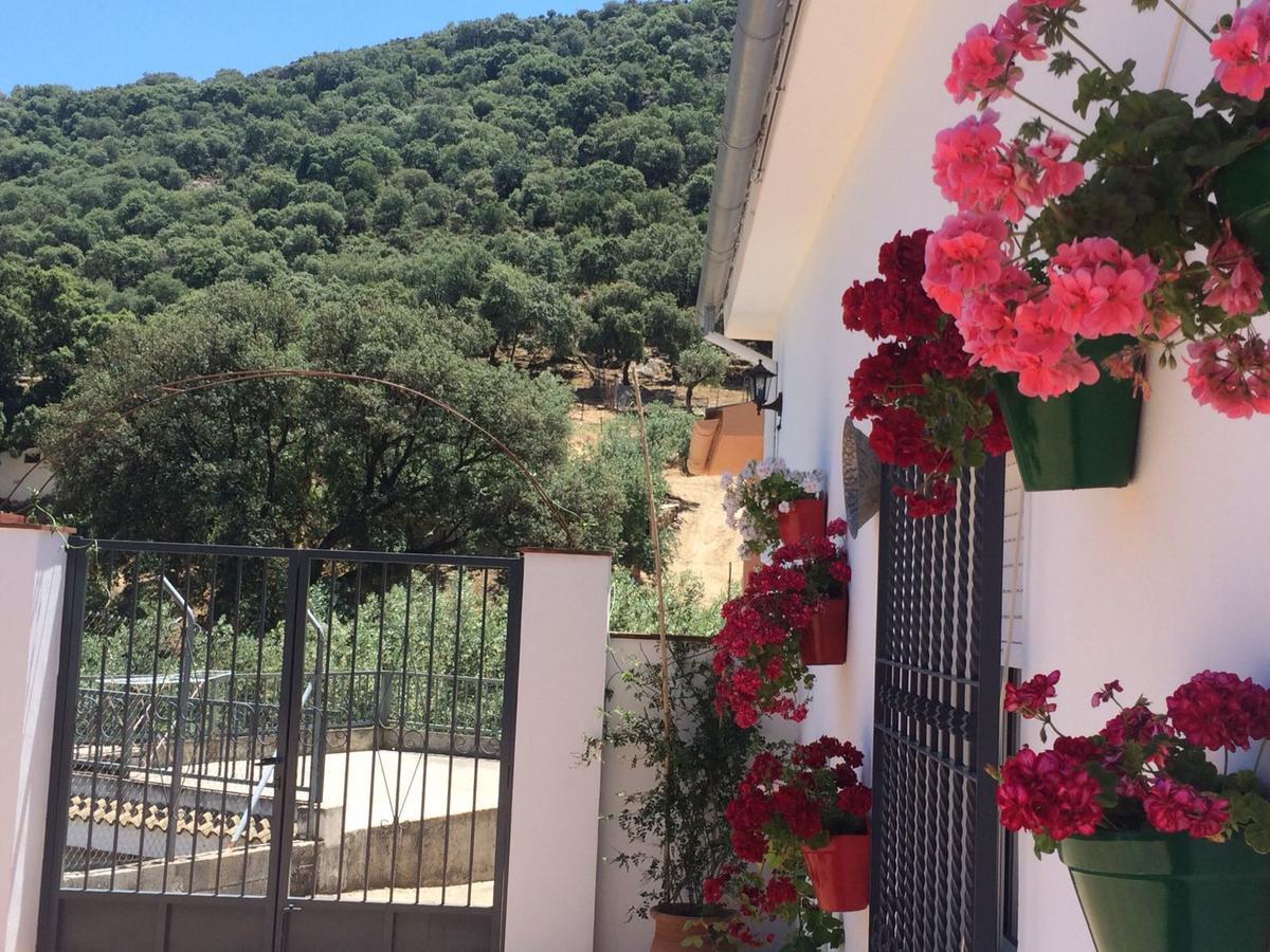Villa La Quinta Priego De Cordoba Exterior photo