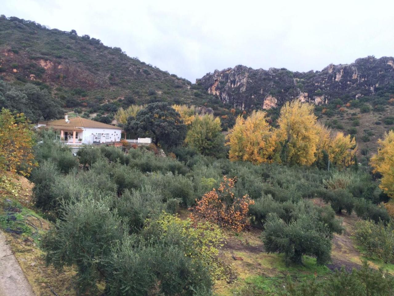 Villa La Quinta Priego De Cordoba Exterior photo