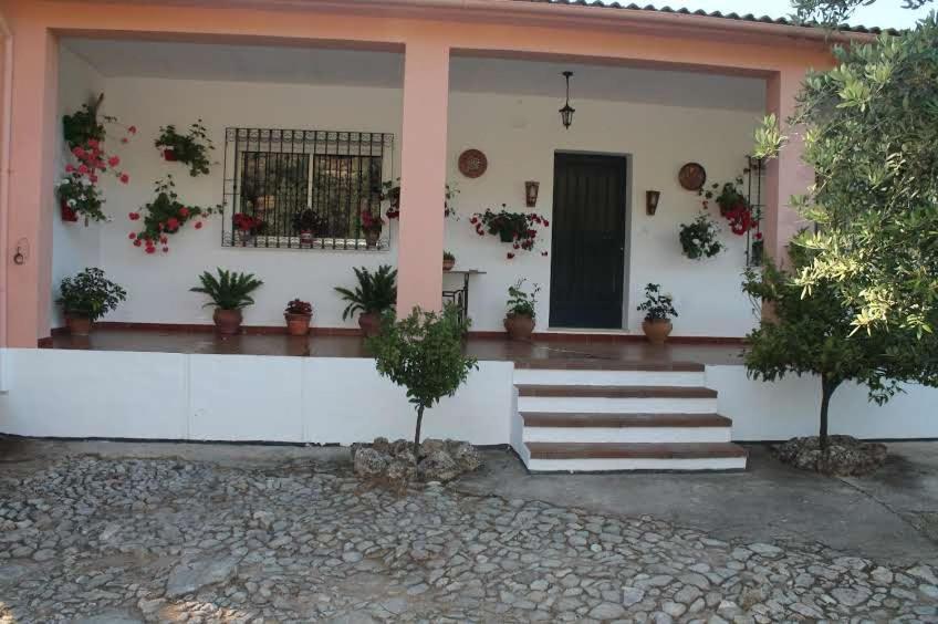 Villa La Quinta Priego De Cordoba Exterior photo